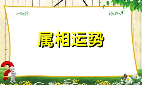 58年属狗女在2023年的运势和财运 58年属狗人在2023年每月运势