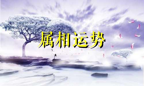 生肖鸡2023年下半年运势大全 属鸡2023年下半年运势运程