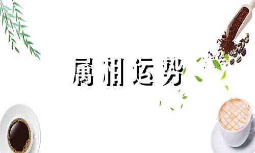 06年属狗女在2023年的运势和财运 06年属狗人在2023年每月运势