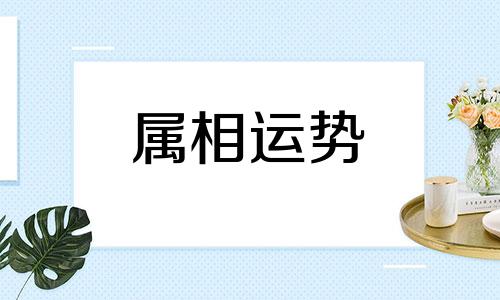 生肖羊2023年下半年运势大全 属羊2023年下半年运势运程