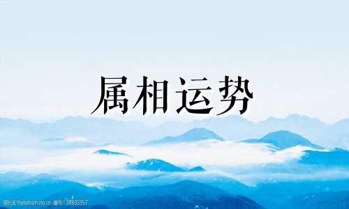 生肖兔2023年下半年运势大全 属兔2023年下半年运势运程