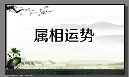 属鸡人2023年下半年运势 属鸡人2023年下半年运势及运程