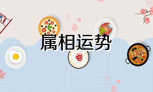 2023属兔的全年运势 2023属兔全年完整运气