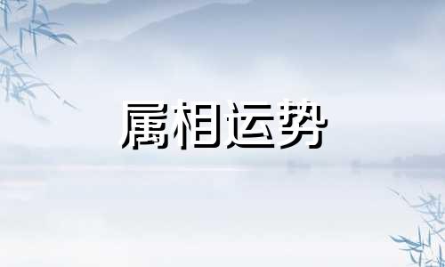 生肖兔2023年下半年运势 属兔2023年下半年运势及运程详解