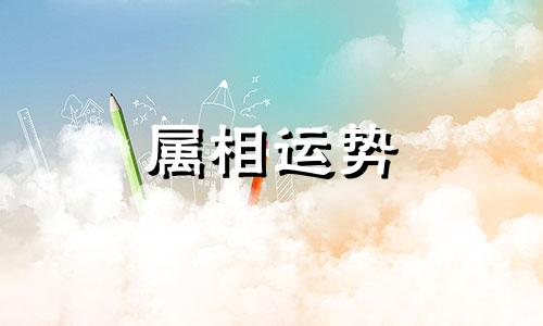 属兔人2023下半年运势及运程 属兔的人2023年下半年运势及运程