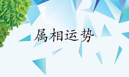 蛇人2023年上半年运程 蛇人2023年下半年运程