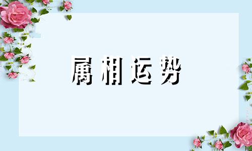 狗人2023年上半年运程 狗人2023年下半年运程