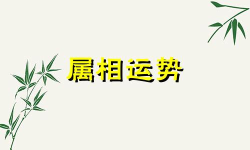 鼠人2023年上半年运程 鼠人2023年下半年运程