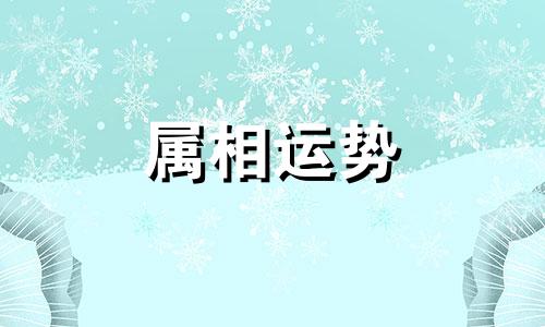 2023年属牛的全年运势 2023年牛人运势及运程