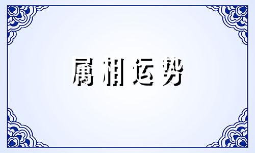 猪人2023年上半年运程 猪人2023年下半年运程