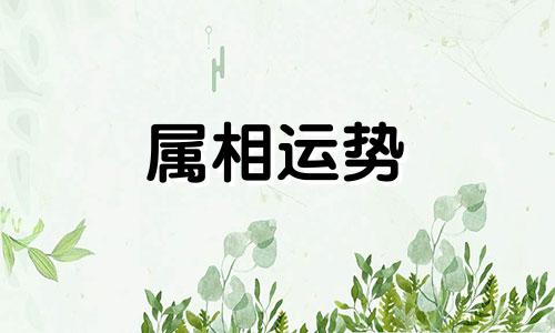 属鼠2023运势及运程详解 属鼠2023运势及运程每月运程如何