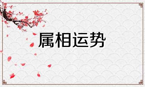 2023属龙人的全年运势 属龙人2023年每月运势及运程详解