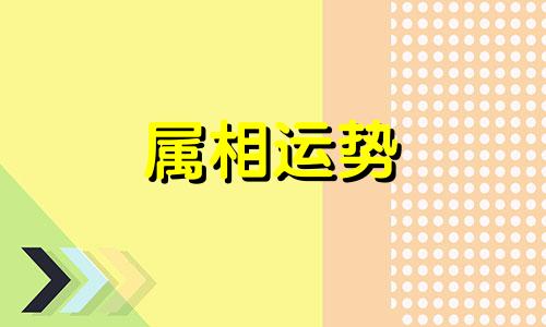 2023属虎人的全年运势 属虎人2023年每月运势及运程详解