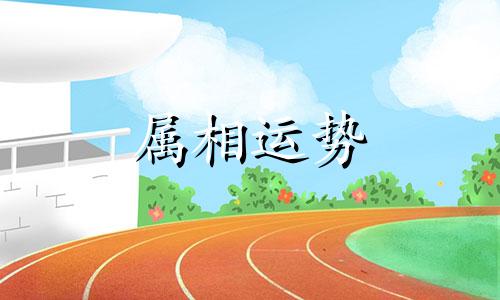 属牛2023年的运势 属牛2023年的运势每月