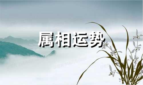 生肖兔2023年下半年运势及运程 生肖兔2023年下半年运势及运程如何