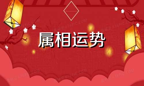 属鼠今年运势 属鼠今年运势2023年运势