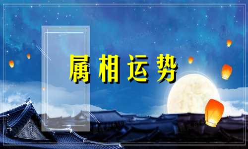 生肖猪2023年下半年运势及运程 生肖猪2023年下半年运势及运程如何