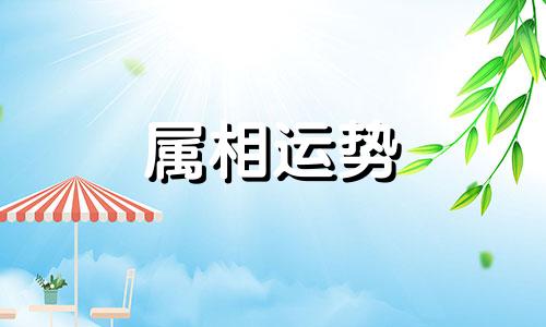 属兔2023年的运势及运程 属兔人2023年全年运势详解