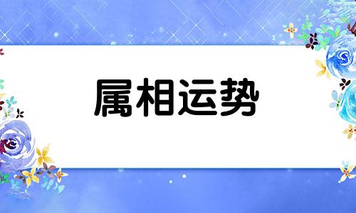 生肖龙2024运势及运程详解 属龙人2024年农历每月运程