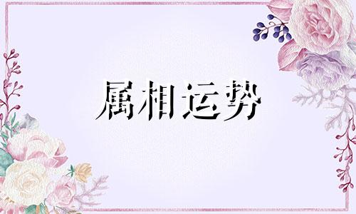 生肖鼠2024运势及运程详解 属鼠人2024年农历每月运程