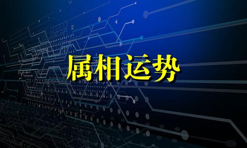 2023属狗全年运势 属狗2023年整体运势及运程详解