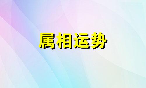 2024年属猪的全年运势 2024年猪人运势及运程