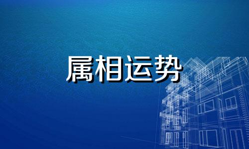 运势测算2023年属猴 运势测算2023年属猴运程