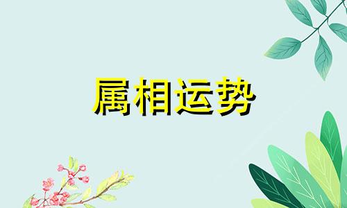 属鸡2024年运势及运程 属鸡2024年每月运势及运程详解