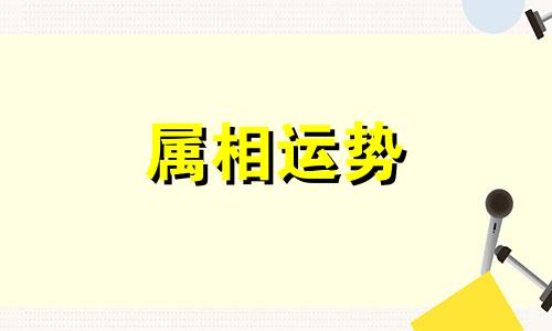 属鼠人2024年全年运势运程 属鼠人2024年运势及运程每月运程