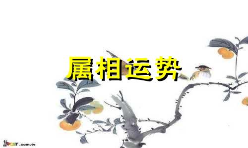 属猪2023年运势及运程 属猪2023年每月运势及运程详解