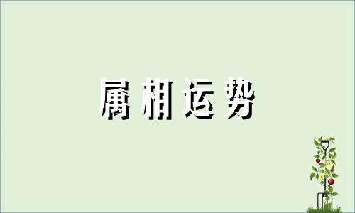 属鸡人2024年全年运势运程 属鸡人2024年运势及运程每月运程