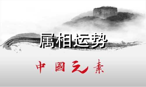 生肖蛇2023年运势及运程 生肖蛇2023年运势及运程详解