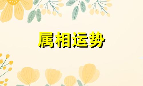 生肖兔2024运势及运程详解 属兔人2024年农历每月运程