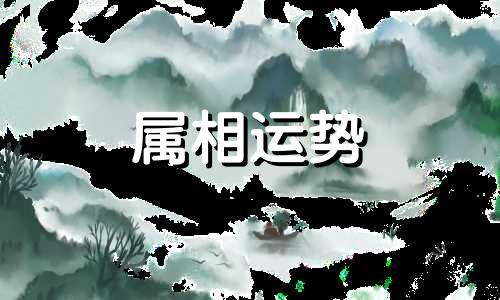 生肖兔2023年运势及运程 生肖兔2023年运势及运程详解