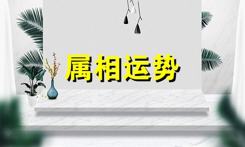 2023属马全年运势 属马2023年整体运势及运程详解