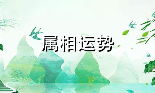 属羊2024年的运势及运程 属羊人2024年全年运势详解