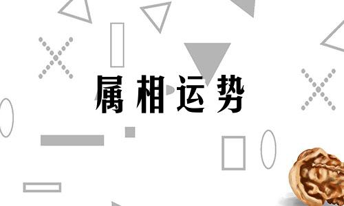 属猪2023年运势及运程详解 属猪人2023年全年每月运势完整版