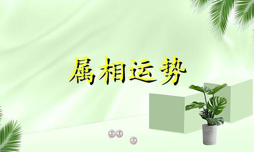 2023年猪年属鼠的运势怎么样 今年属鼠的人2023年全年运程财运和运气如何