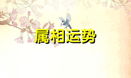 1972年属鼠会二婚吗 1972年属鼠是否会离婚