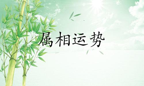 生肖蛇和虎相配吗 蛇和虎相配吗