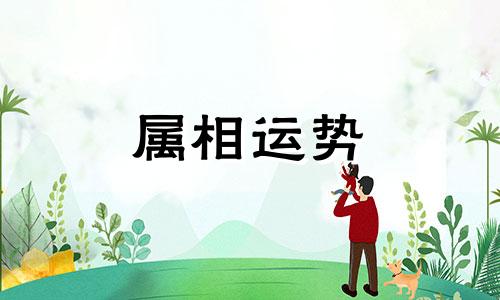 虎五行属什么 虎五行属什么命