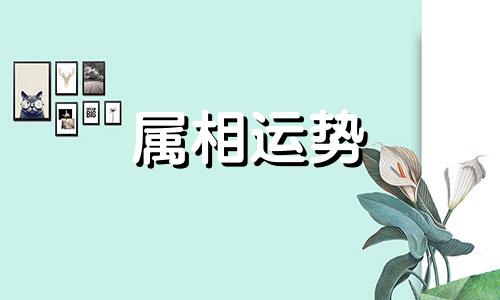 属虎人永远最旺的颜色是什么 属虎人永远最旺的颜色2023年