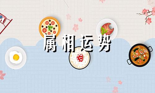 属兔人适合哪个方向 属兔人幸运方位在哪里