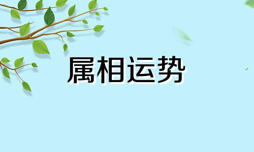 2000年属什么生肖五行属什么 2000年属什么生肖属相什么命