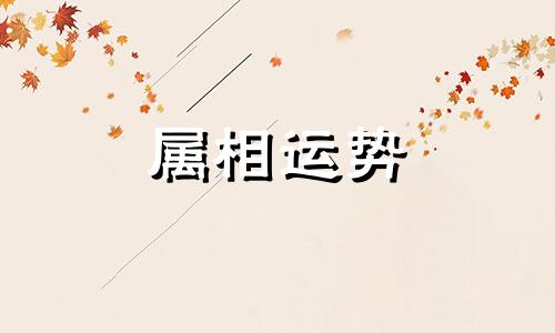 属龙今年多少岁 属龙的多大