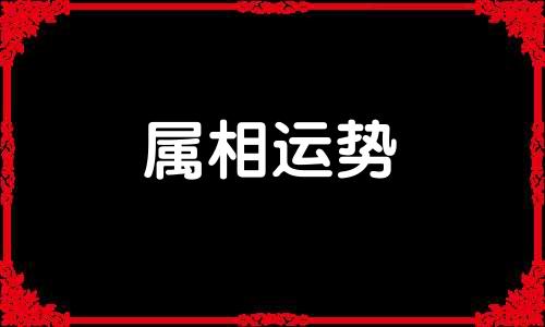 1988年属什么生肖几岁 1988年今年多少岁属什么