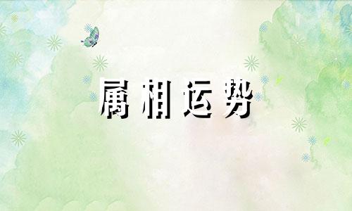 1964年属什么生肖今年多少岁2023 1964年属什么生肖2023年多少岁