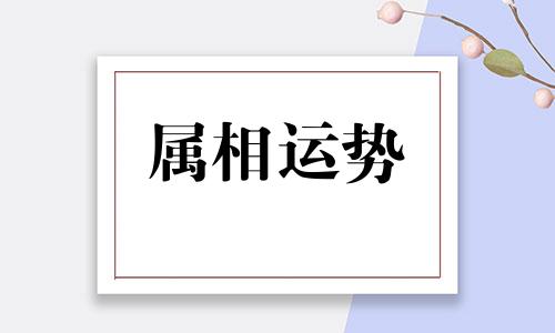 88年属龙男2023年的运势和婚姻 88年属龙男最佳婚配