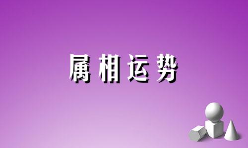 生肖龙2023年下半年运势 属龙2023年下半年运势