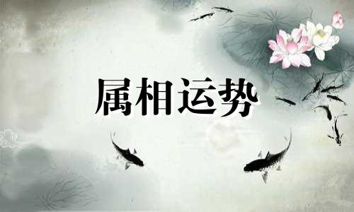 生肖龙年份 属龙的年份